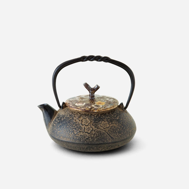 西川貞三郎商店 南部鉄器 Nambu Iron Teapot T. Nishikawa & Co
